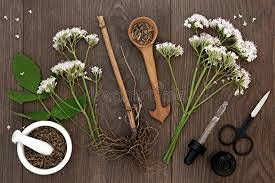 Premium Valerian Root Powder 4oz Valeriana officinalis The Bloomin Herb Shoppe Bulk Tea Tinctures - view 3