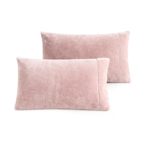 Velvet King Size Pillowcases of 2 Pack, Ultra Soft Breathable Pillow Cases with Flap Closure for Bed, Luxury Fuzzy Warm Flannel Velvet Pillow Covers, No Insert (King 20x40 Inches, Light Mauve)