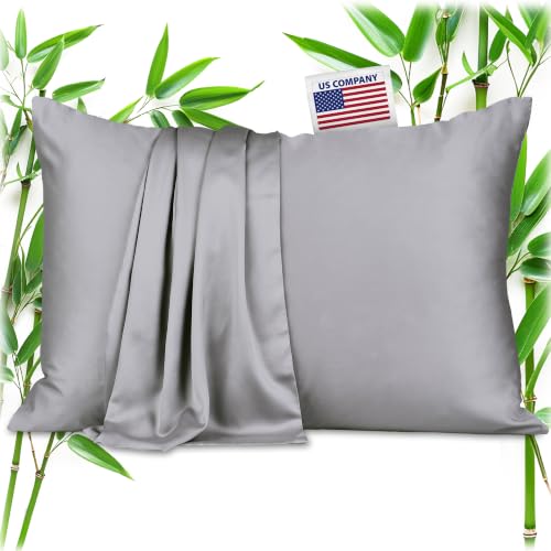 100% Viscose Derived from Bamboo Pillowcase, Standard, Gray, 2 PK