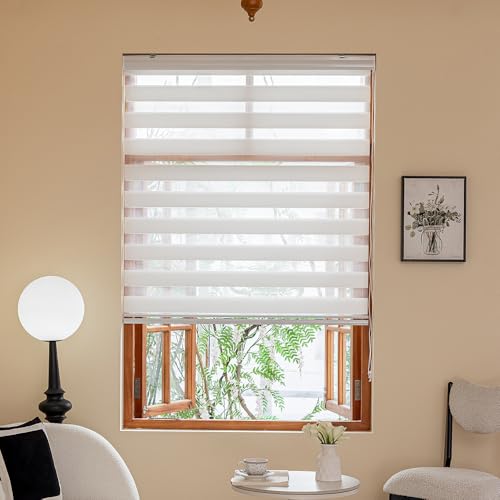 Zebra Blinds Light Filtering Dual Layer Roller Window Shades