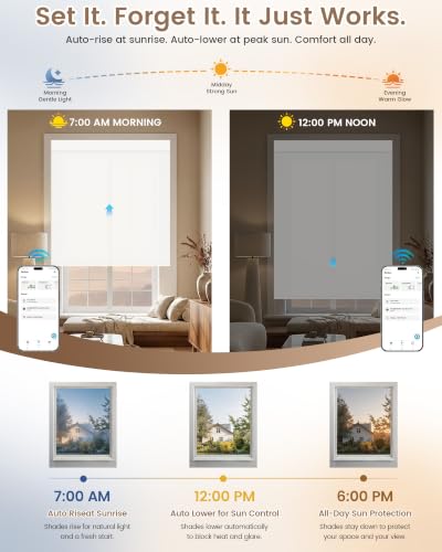 Motorized Blinds with Remote - Motorized Sunscreen Solar Shades - view 5