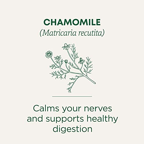 Organic Chamomile Herbal Tea, 16 Count - view 4