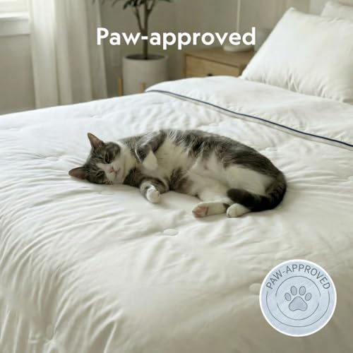 All-Season Silk Comforter, Quilt and Duvet Insert for Hot Sleepers, 100% Silk Fill with 100% Cotton Shell, Luxuriously Soft, Moisture-Wicking, White, Silk Weight: 3.2lbs - Queen Size (90" x 90") - view 5