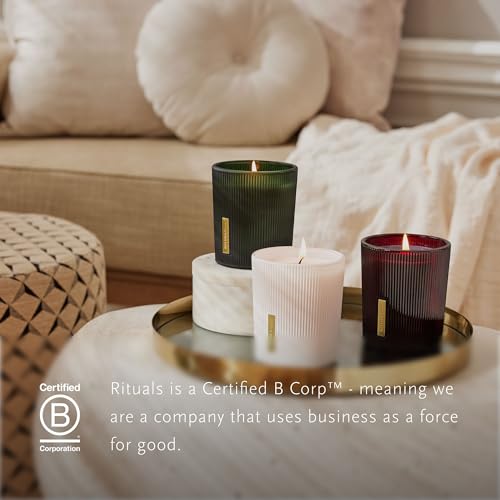 Scented Candle from The Ritual of Ayurveda - with Indian Rose and Sweet Almond Oil - Up to 50 Hours Burn Time - 290g - view 6