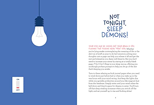 F*ck, I Can't Sleep: An Insomniac's Journal to Put Your Worries to Bed - view 2