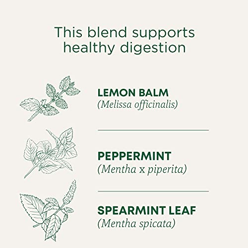 Organic Triple Mint, 16 Tea Bags - view 3