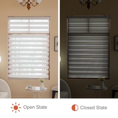 Zebra Blinds Light Filtering Dual Layer Roller Window Shades - view 2