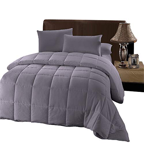 Plush Down Alternative Comforter Queen - Gray Duvet Insert with Corner Tabs - All-Season Hypoallergenic Comforter Reversible - 100% Plush Down Alternative Fill - Queen, Gray