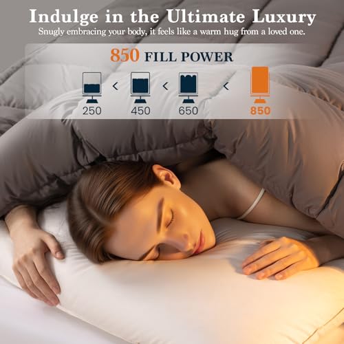 75% Canadian Goose Down Comforter King Size, 100% Cotton Shell - view 5