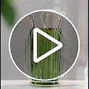 Glass Clear Toothbrush Cup Holder | Clear Tumbler Makeup Brush & Toothbrush Holder for Bedside Table, Bathroom, Vanity - view 7