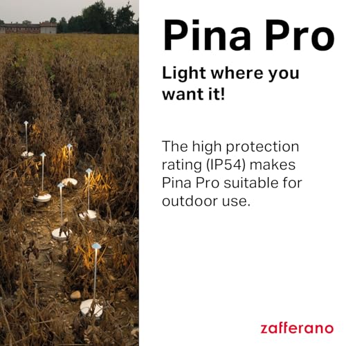 Pina Pro, Rechargeable Cordless Lamp, Dark Gray - view 3