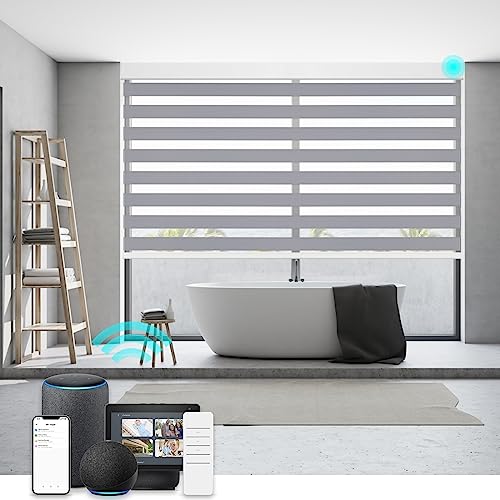 Smart Zebra Blinds Motorized Shades Remote Control for Indoor Windows, Custom Size Electric Solar Panel Power Automatic Work with Alexa, Google Home, Apple Homekit, Blackout, Dark Grey