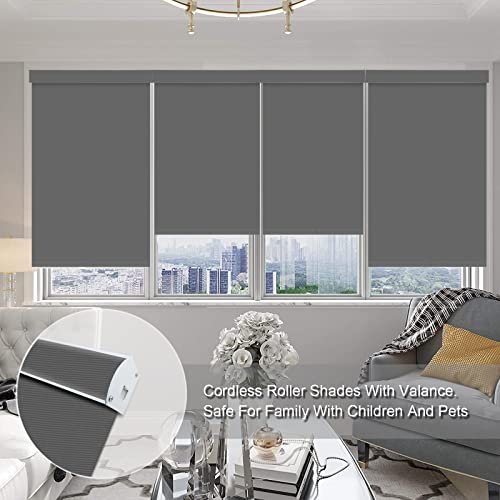 Blackout Cordless Window Roller Shades, Dark Grey Custom Free Stop Window Blinds with Spring Lifting System for Home, Windows, Doors, French Door - view 2
