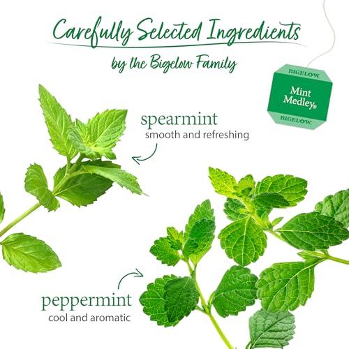 Mint Medley Tea, 20 ct - view 7