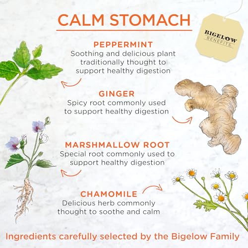 Benefits Calm Stomach Ginger Peach Herbal Tea, 18 Count - view 3