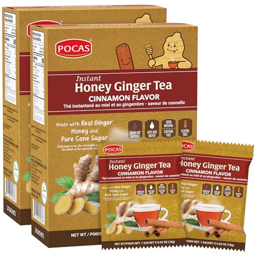 Tea Powder, Honey Ginger with Cinnamon, 20 Count (Pack of 2)