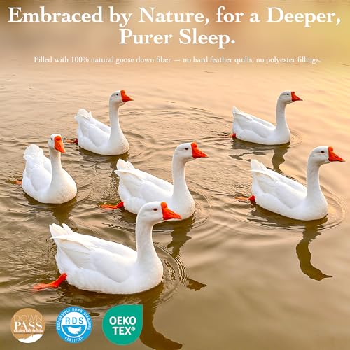 Goose Down Fiber Comforter King Size – All Season Naturally Breathable Down Comforters, Luxury Hotel Collection Duvet Insert with 8 Corner Tabs, Cotton Fabric & Baffle Box (White,65oz Fill) - view 3