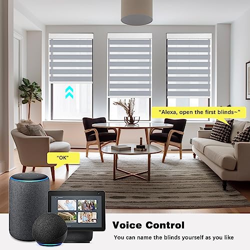 Smart Zebra Blinds Motorized Shades Remote Control for Indoor Windows, Custom Size Electric Solar Panel Power Automatic Work with Alexa, Google Home, Apple Homekit, Blackout, Dark Grey - view 2