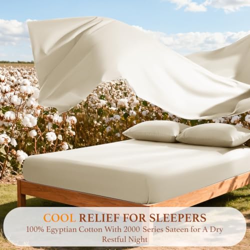 100% Egyptian Cotton Sheets Set, Luxury 2000 Series Egyptian Cotton Bed Sheets 4 PC, Long Staple,Silky Soft,Breathable & Cooling Sheets, 16" Deep Pocket(King, Beige) - view 5