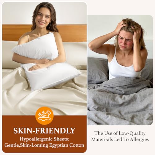 100% Egyptian Cotton Sheets Set, Luxury 2000 Series Egyptian Cotton Bed Sheets 4 PC, Long Staple,Silky Soft,Breathable & Cooling Sheets, 16" Deep Pocket(King, Beige) - view 6