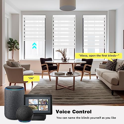 Smart Zebra Blinds Motorized Shades Remote Control for Indoor Windows, Custom Size Electric Solar Panel Power Automatic Work with Alexa, Google Home, Apple Homekit, Light Filtering, White - view 2