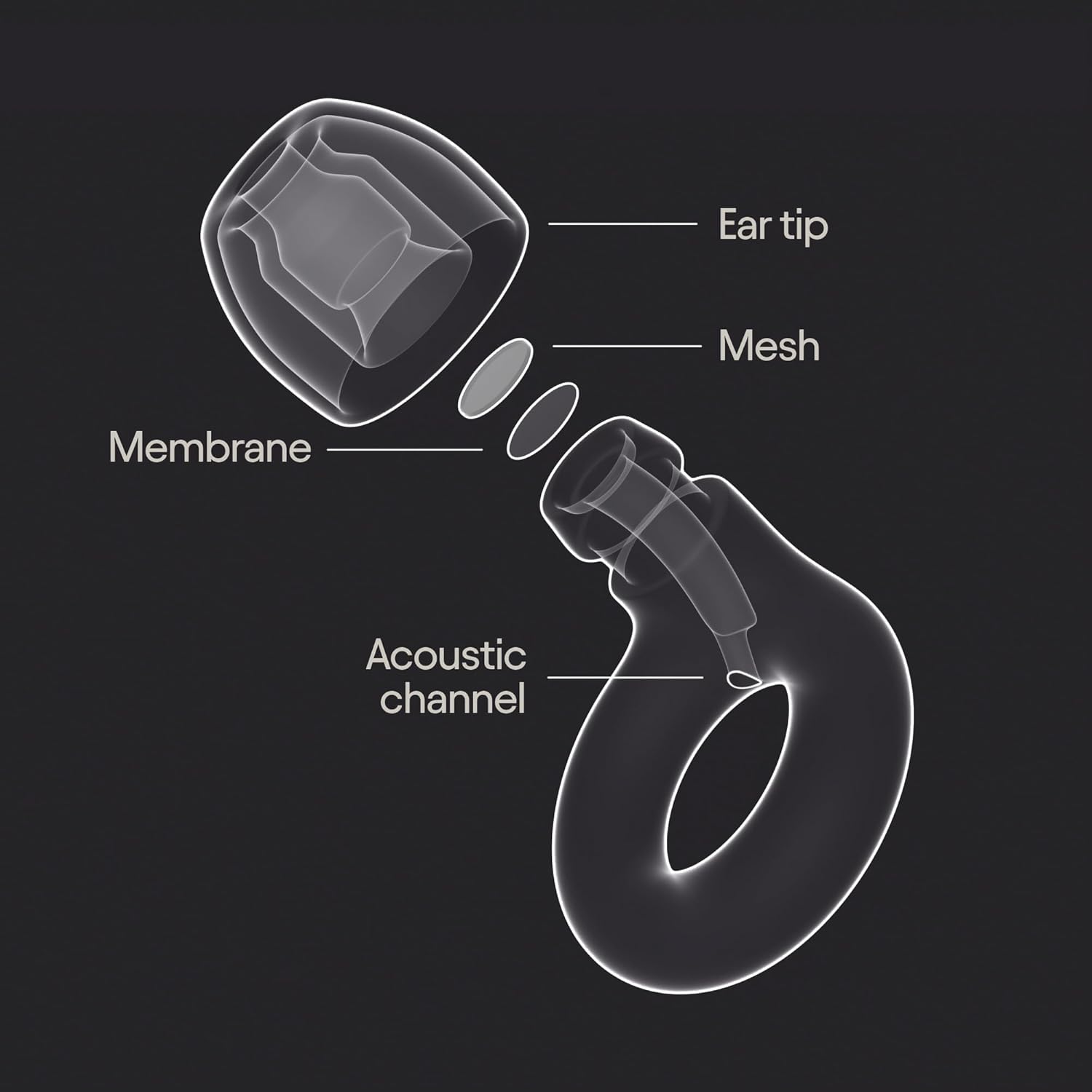 Experience ear plugs - stylish certified hearing protection | 17dB SNR noise reduction (high-fidelity). For concerts, festivals, live events, musicians, sports, DJs & nightlife - view 6