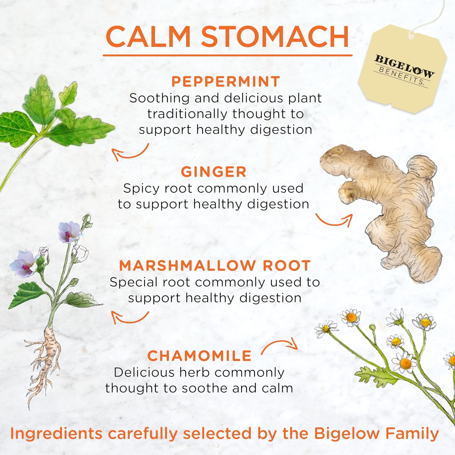Benefits Calm Stomach Ginger Peach Herbal Tea, 18 Count | Caffeine Free, Pack of 6, 108 Total Tea Bags - view 3