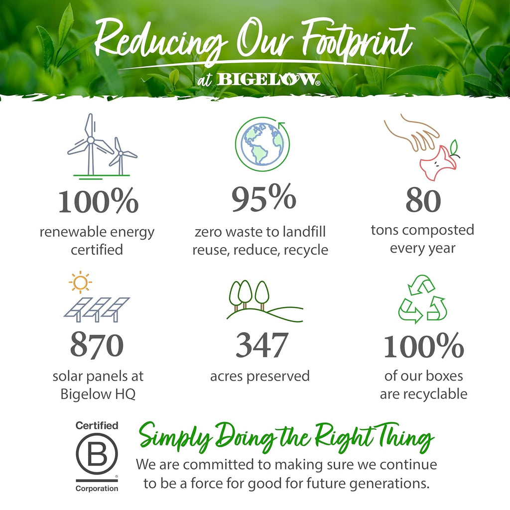 Organic lemon ginger herbal tea, caffeine free, 20 count (pack of 6), 120 total tea bags - view 5