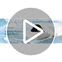 Cooling Bed Pillows for Sleeping 2 Pack Shredded Memory Foam Pillows Adjustable Pillow for Side Back Stomach Sleepers Luxury Gel Pillows Queen Size Set of 2 with Washable Removable Cover - view 7