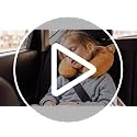 4 Pcs Kids Travel Neck Pillow, Cute Animal U Shaped Head Support - view 7